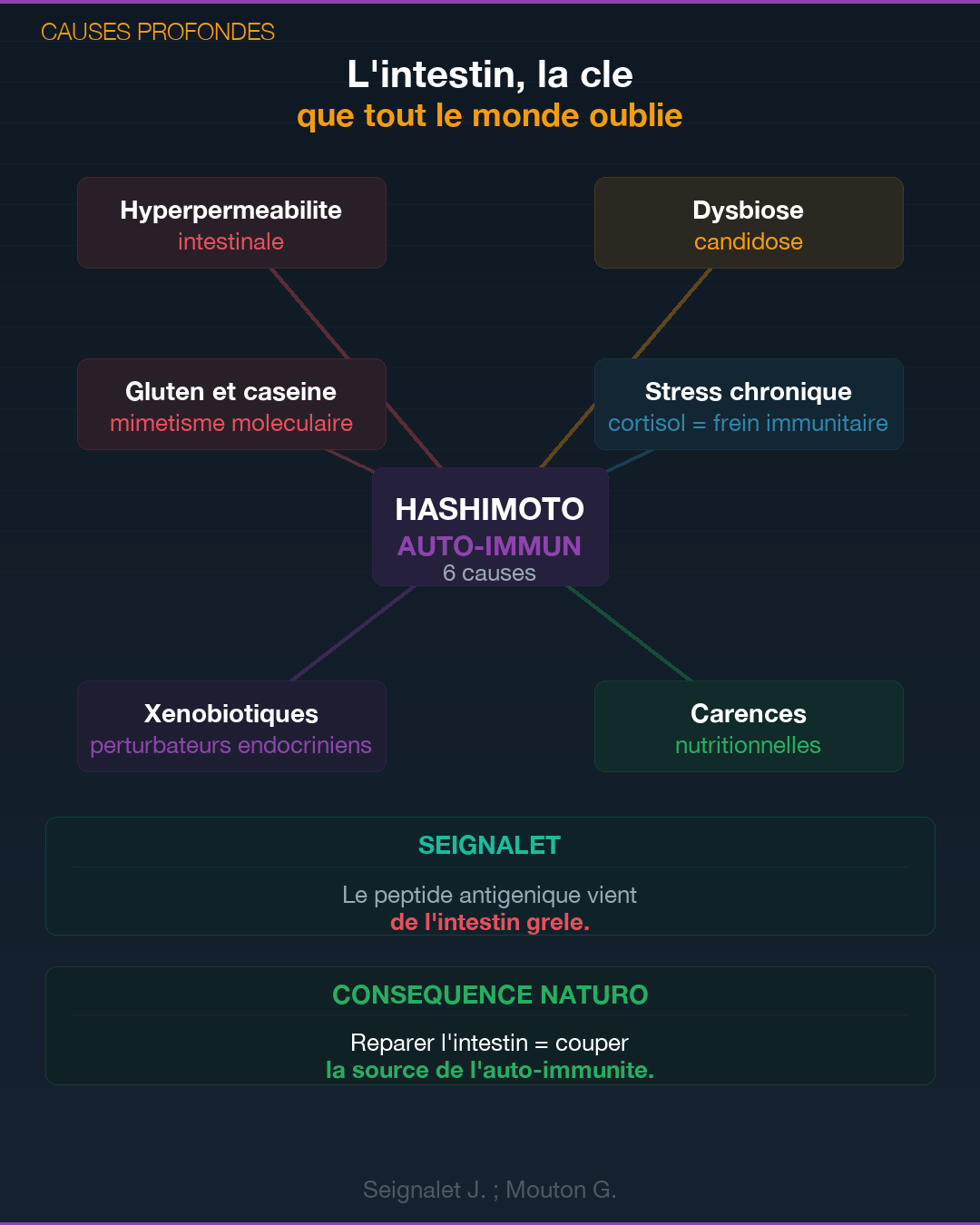 Hashimoto : ce que ta thyroïde essaie de te dire : Slide 4