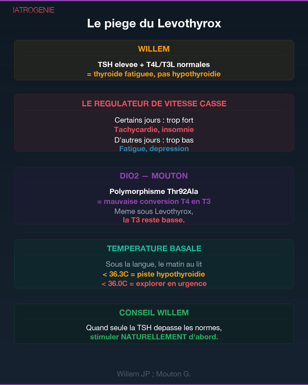 Hashimoto : ce que ta thyroïde essaie de te dire : Slide 6