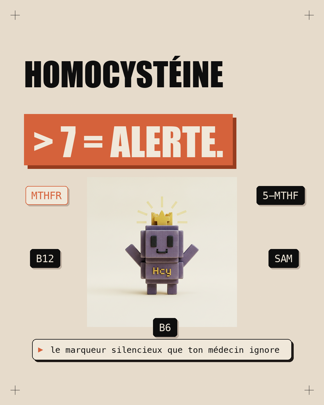 Homocystéine : le marqueur silencieux qui coûte 10 ans de vie