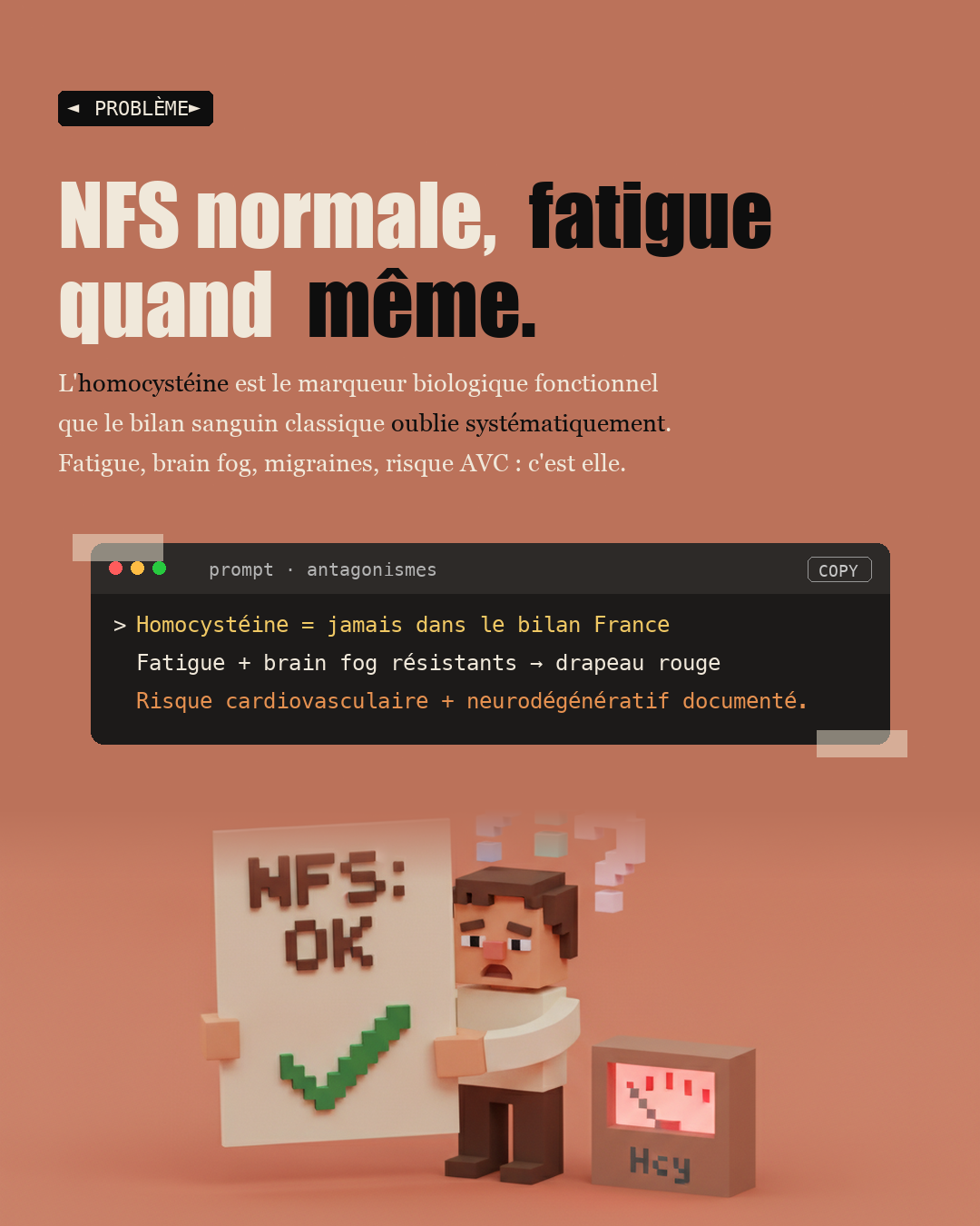 Homocystéine : le marqueur silencieux qui coûte 10 ans de vie : Slide 2