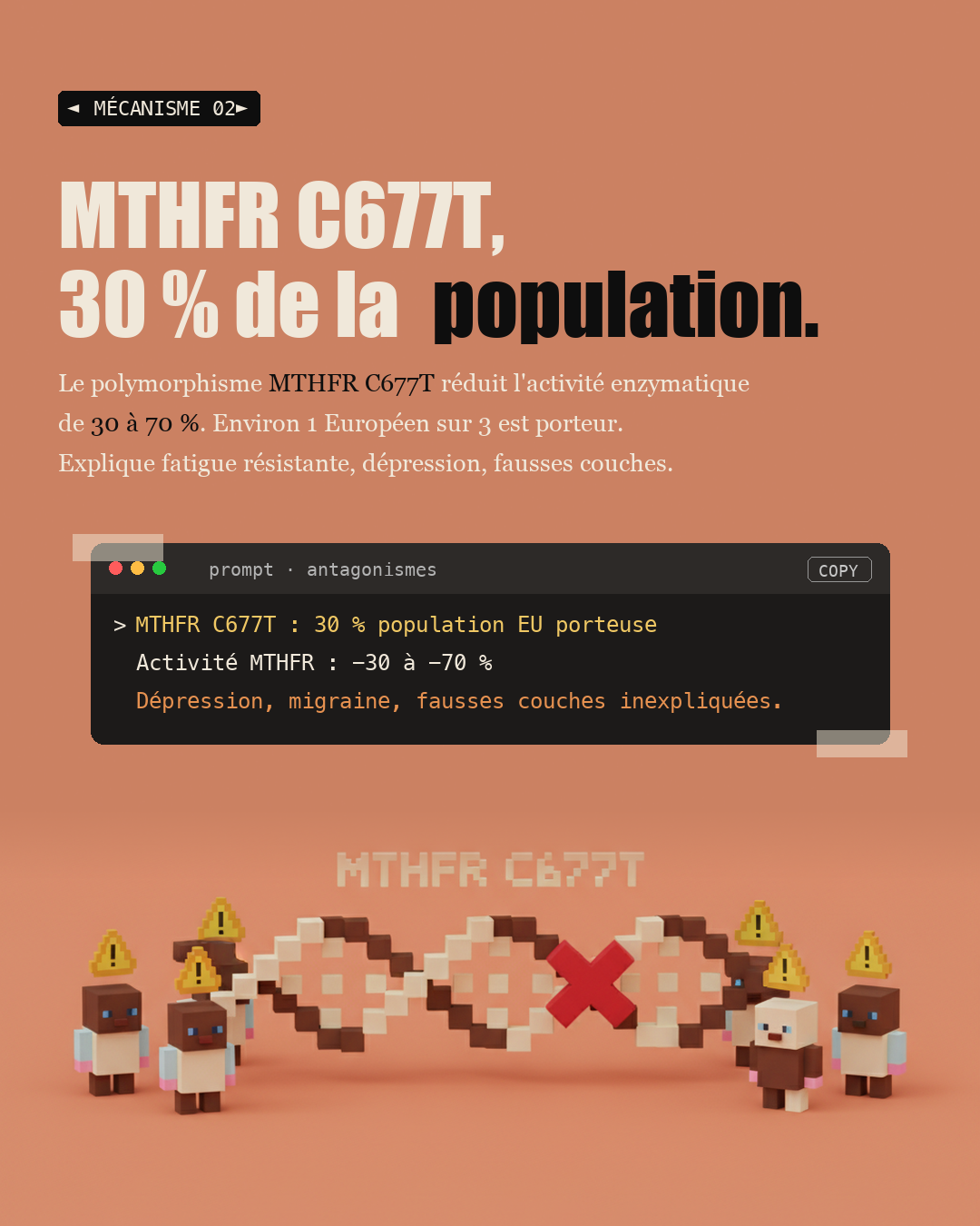 Homocystéine : le marqueur silencieux qui coûte 10 ans de vie : Slide 4