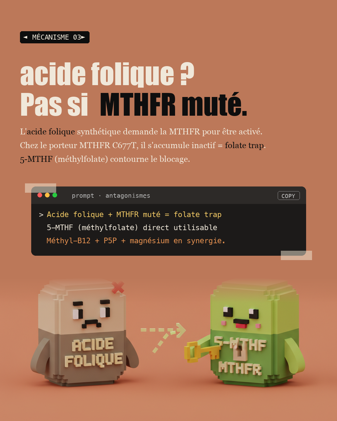 Homocystéine : le marqueur silencieux qui coûte 10 ans de vie : Slide 5