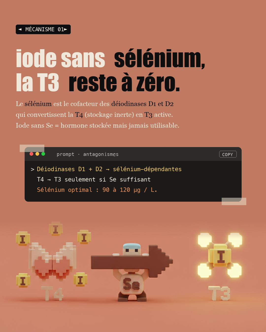 Iode : la carence française qui ralentit ta thyroïde : Slide 3