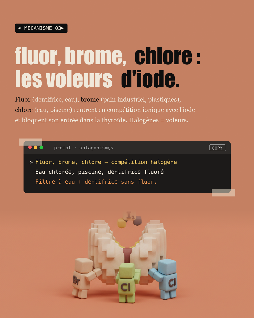 Iode : la carence française qui ralentit ta thyroïde : Slide 5