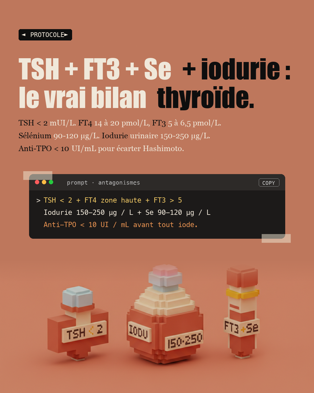 Iode : la carence française qui ralentit ta thyroïde : Slide 6