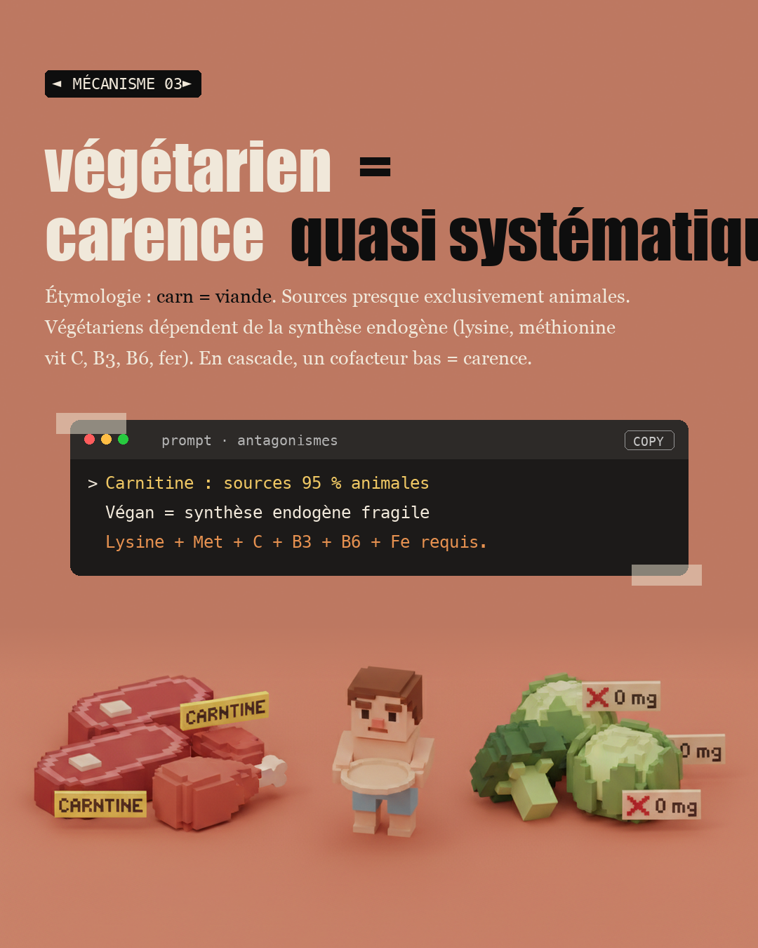 L-carnitine : la navette qui brûle vraiment la graisse : Slide 5