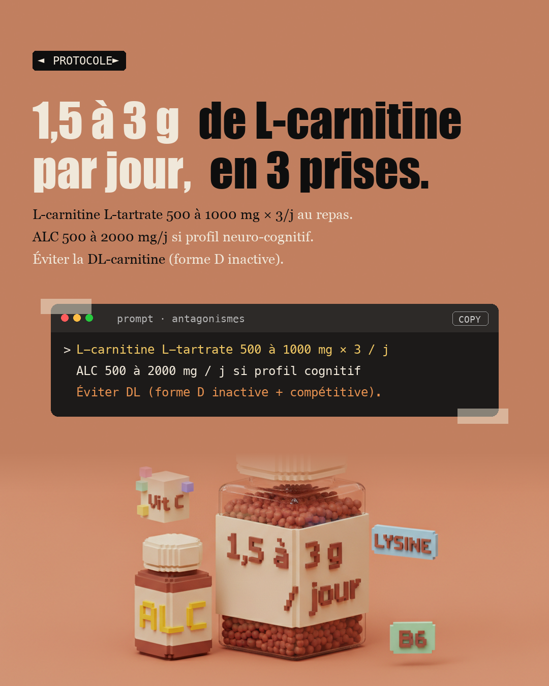 L-carnitine : la navette qui brûle vraiment la graisse : Slide 6