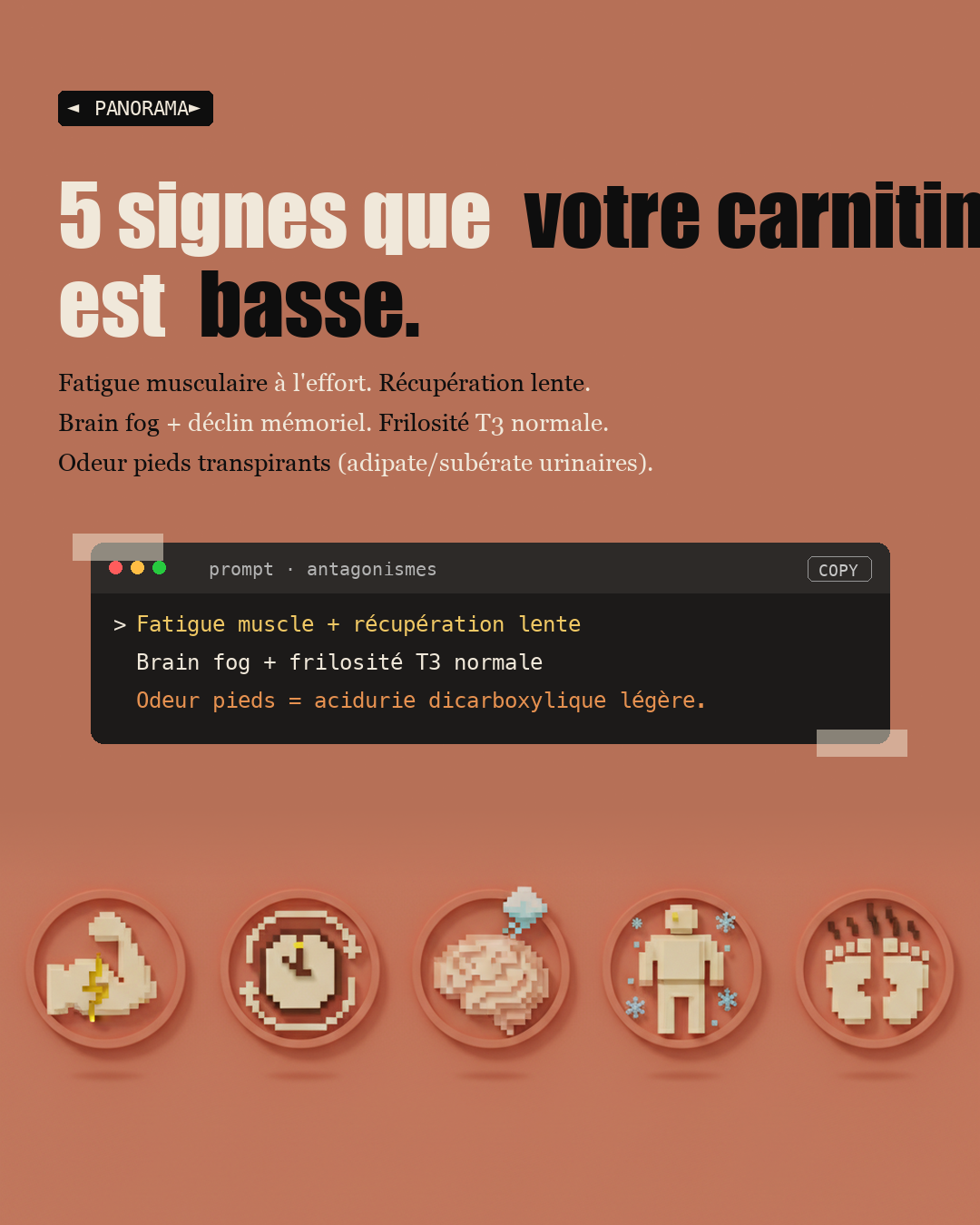 L-carnitine : la navette qui brûle vraiment la graisse : Slide 7