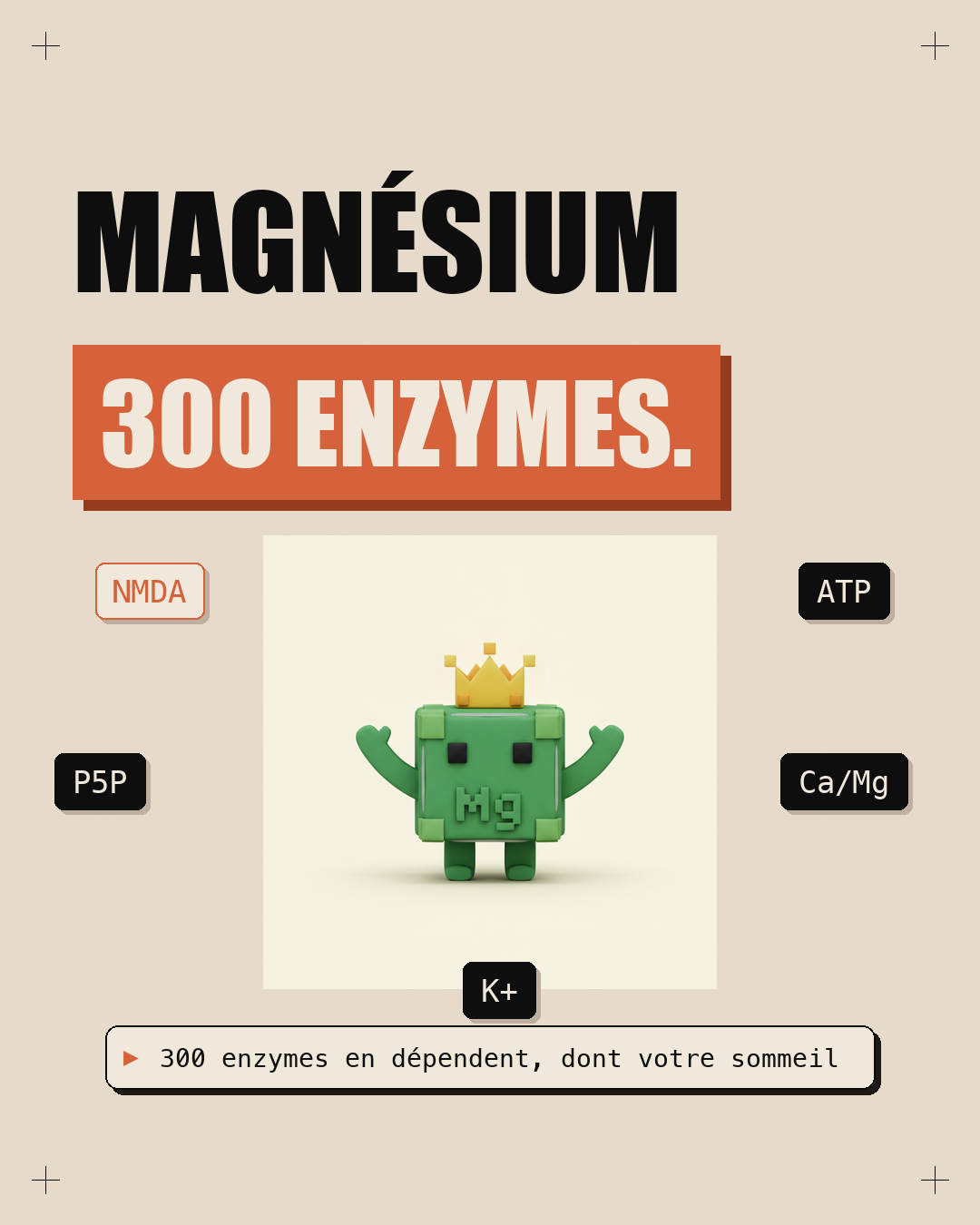 Magnésium : 300 enzymes en dépendent