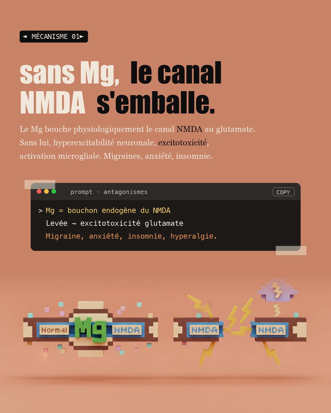 Magnésium : 300 enzymes en dépendent : Slide 3