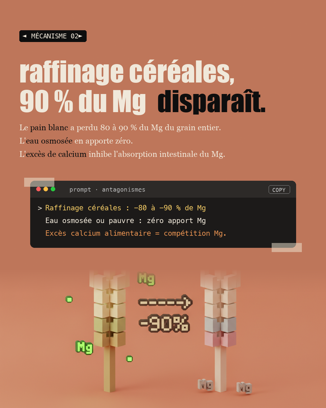 Magnésium : 300 enzymes en dépendent : Slide 4