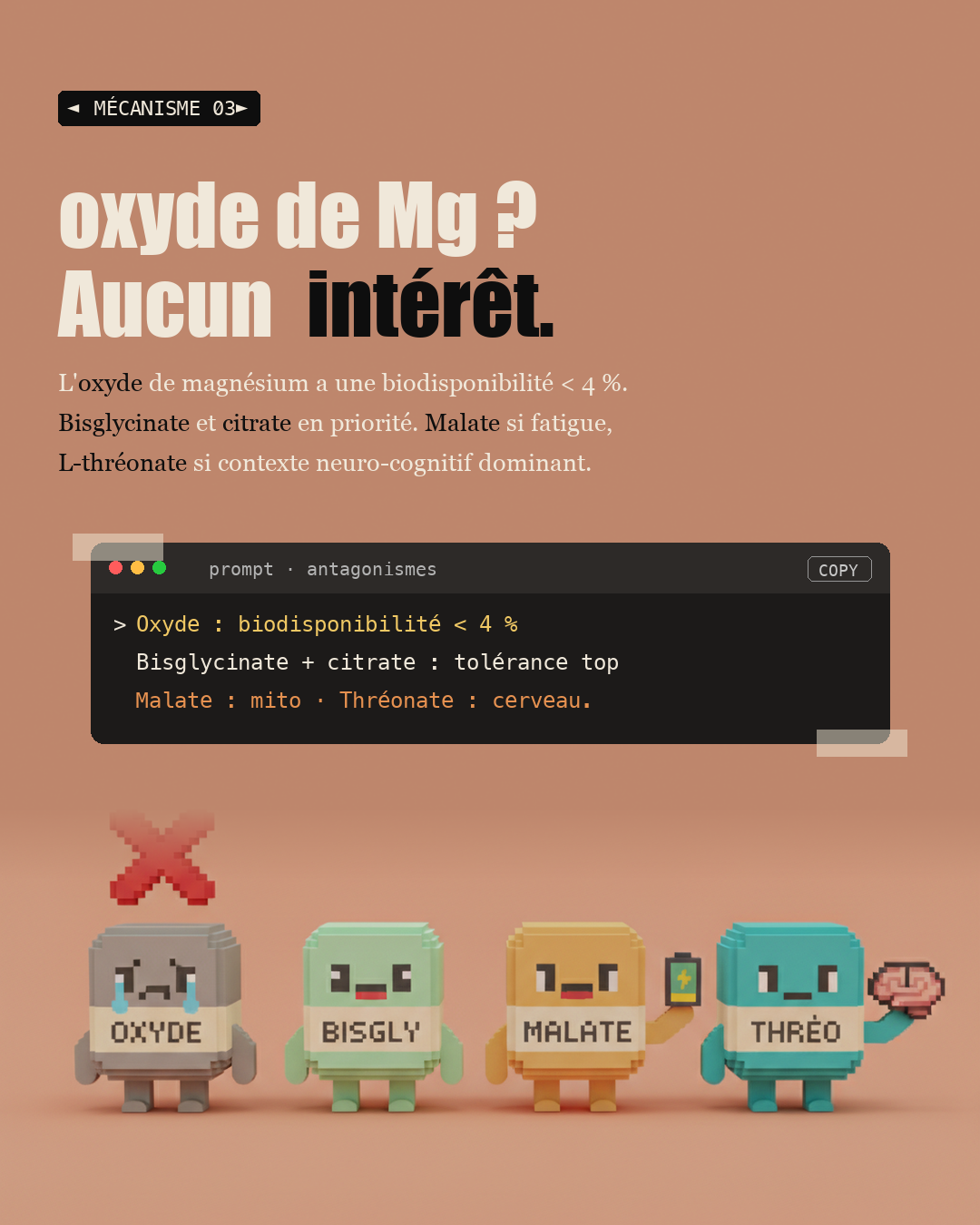 Magnésium : 300 enzymes en dépendent : Slide 5