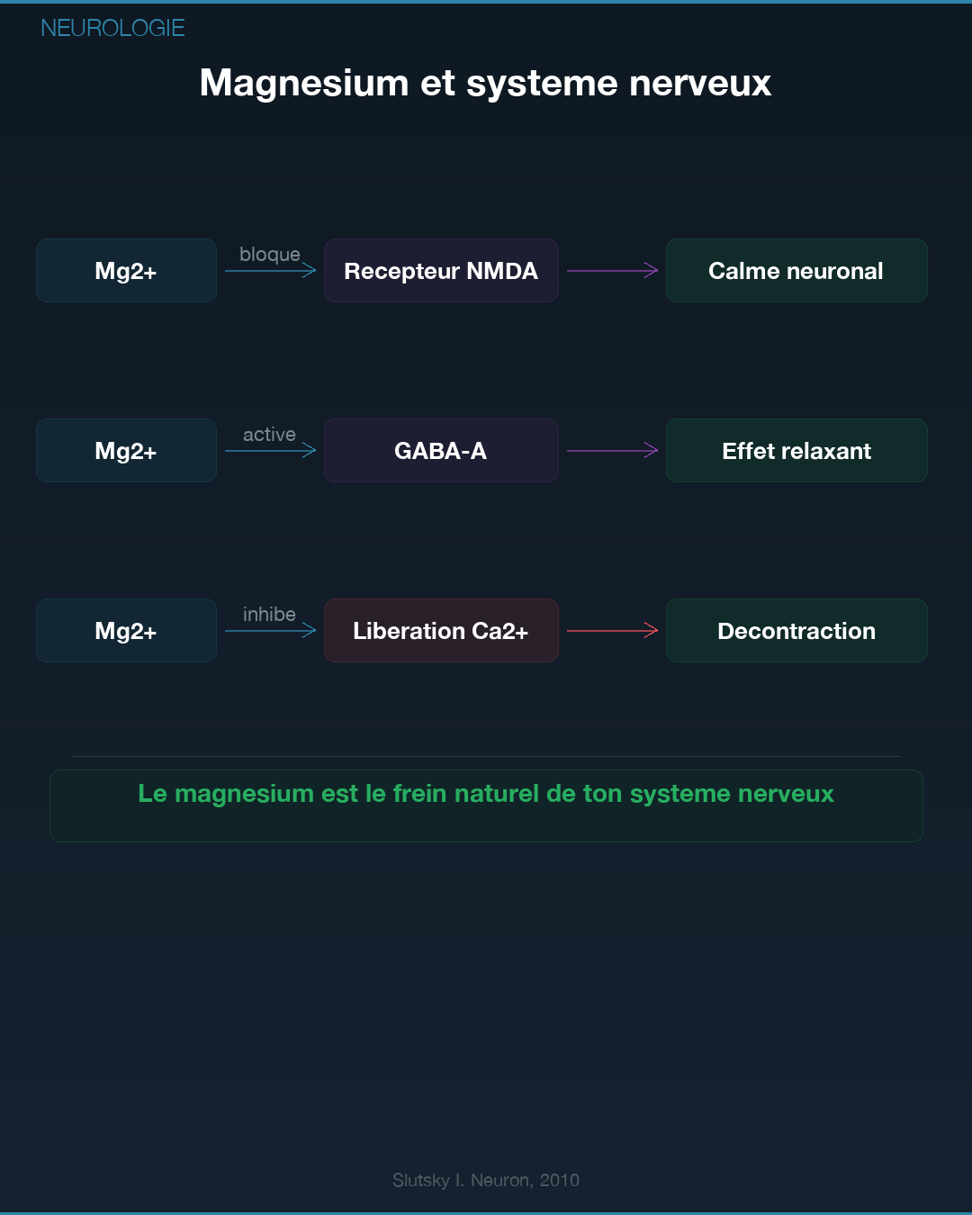 Magnésium : pourquoi tu es en carence : Slide 3