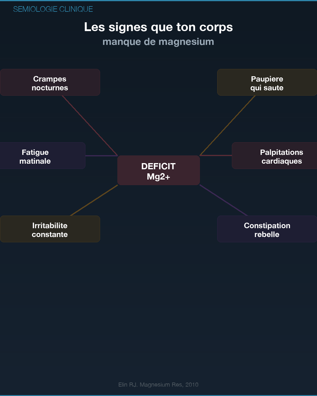 Magnésium : pourquoi tu es en carence : Slide 5