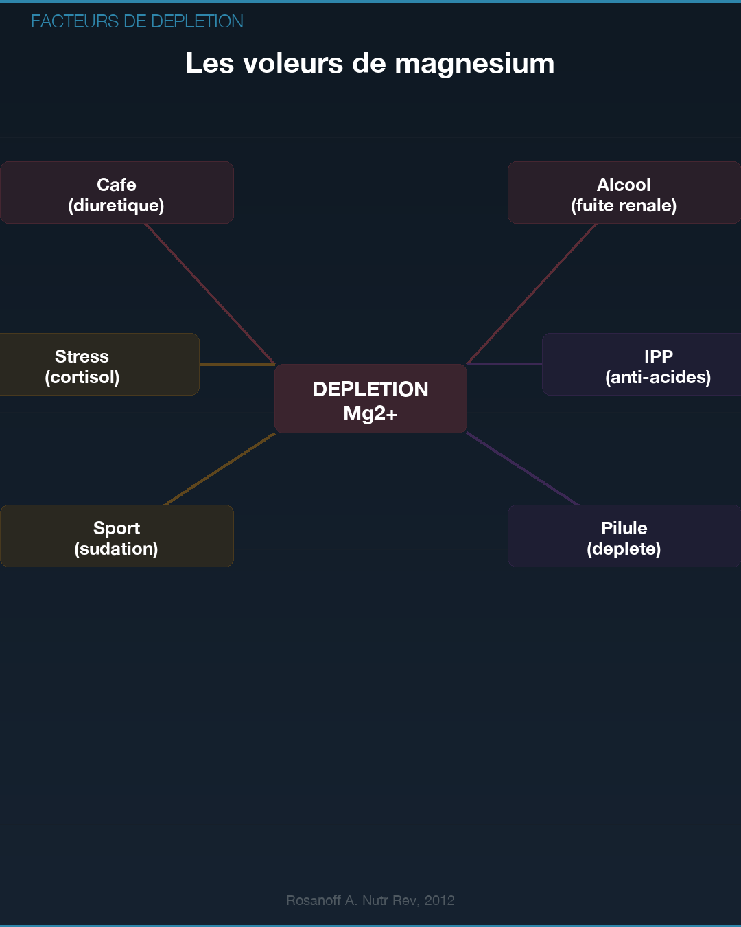 Magnésium : pourquoi tu es en carence : Slide 8