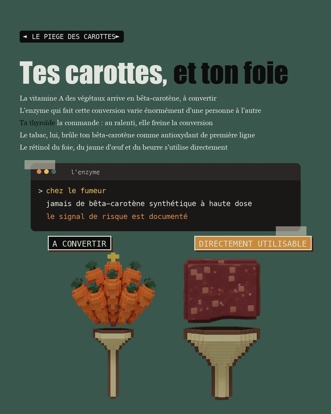 Des carottes au-dessus d'un entonnoir étroit, du foie au-dessus d'un entonnoir large