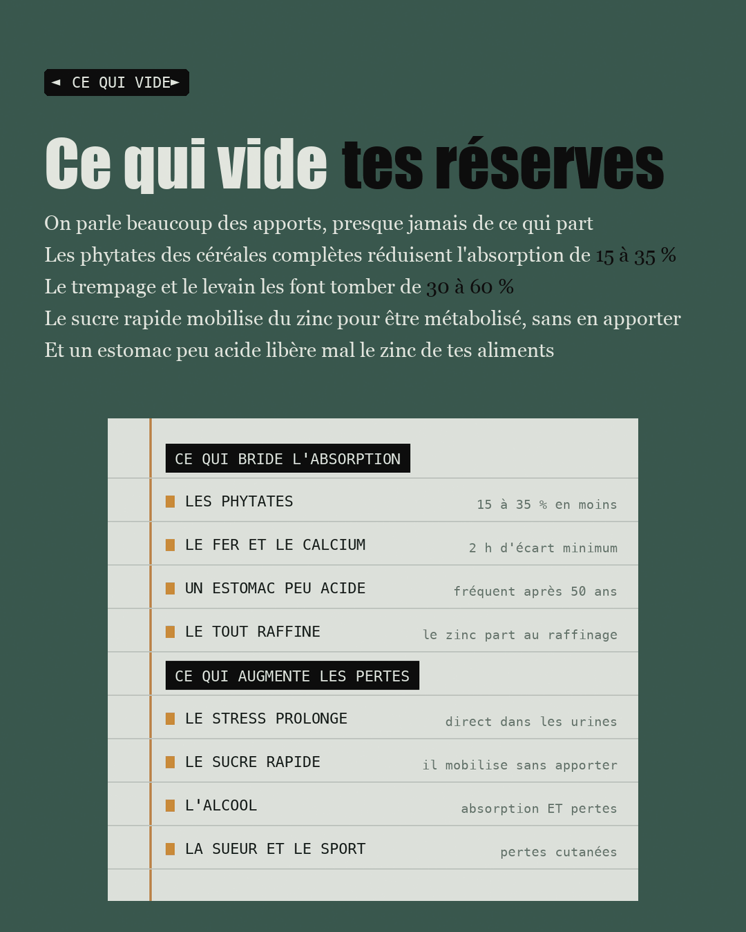 Page de cahier listant ce qui bride l'absorption du zinc et ce qui augmente les pertes