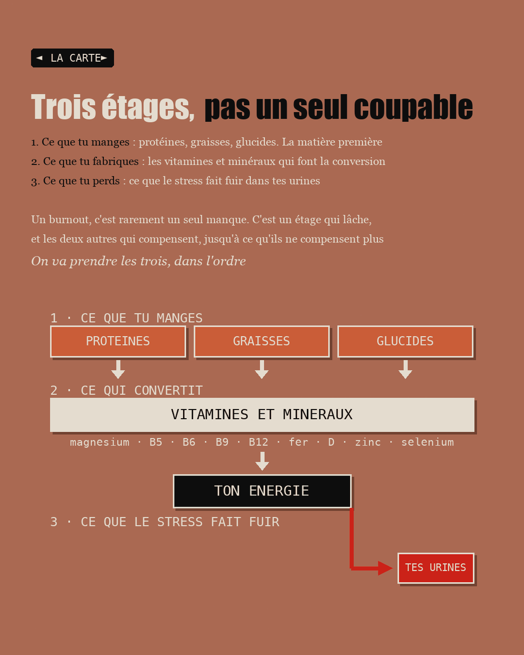 Schéma des trois étages : ce que tu manges, ce que tu fabriques, ce que tu perds