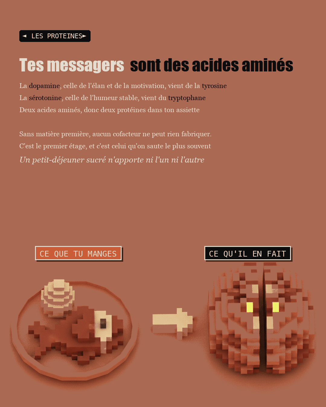 Des briques d'acides aminés en argile