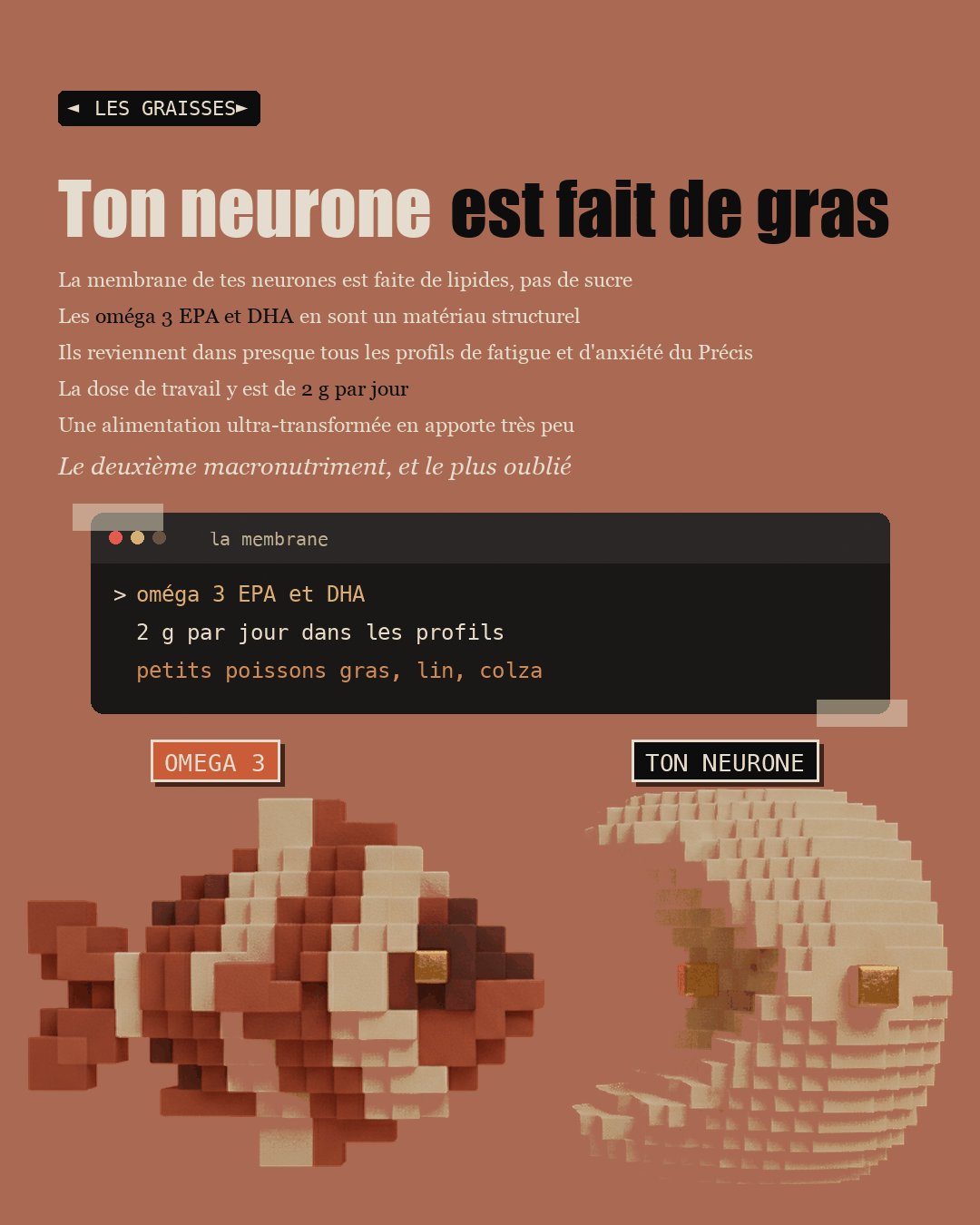 Une membrane neuronale en argile