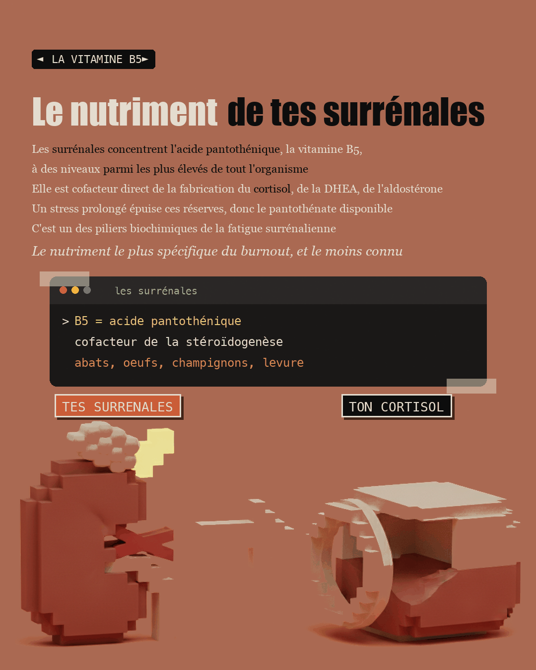 Une glande surrénale en argile avec une molécule
