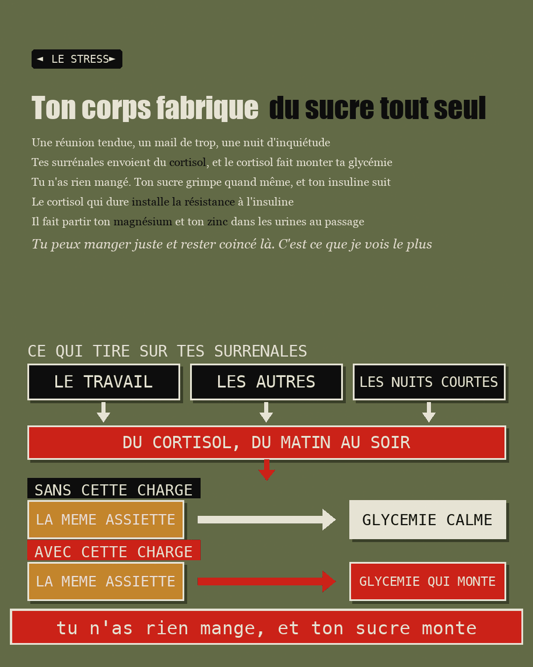Schéma du cortisol qui fait monter la glycémie sans repas