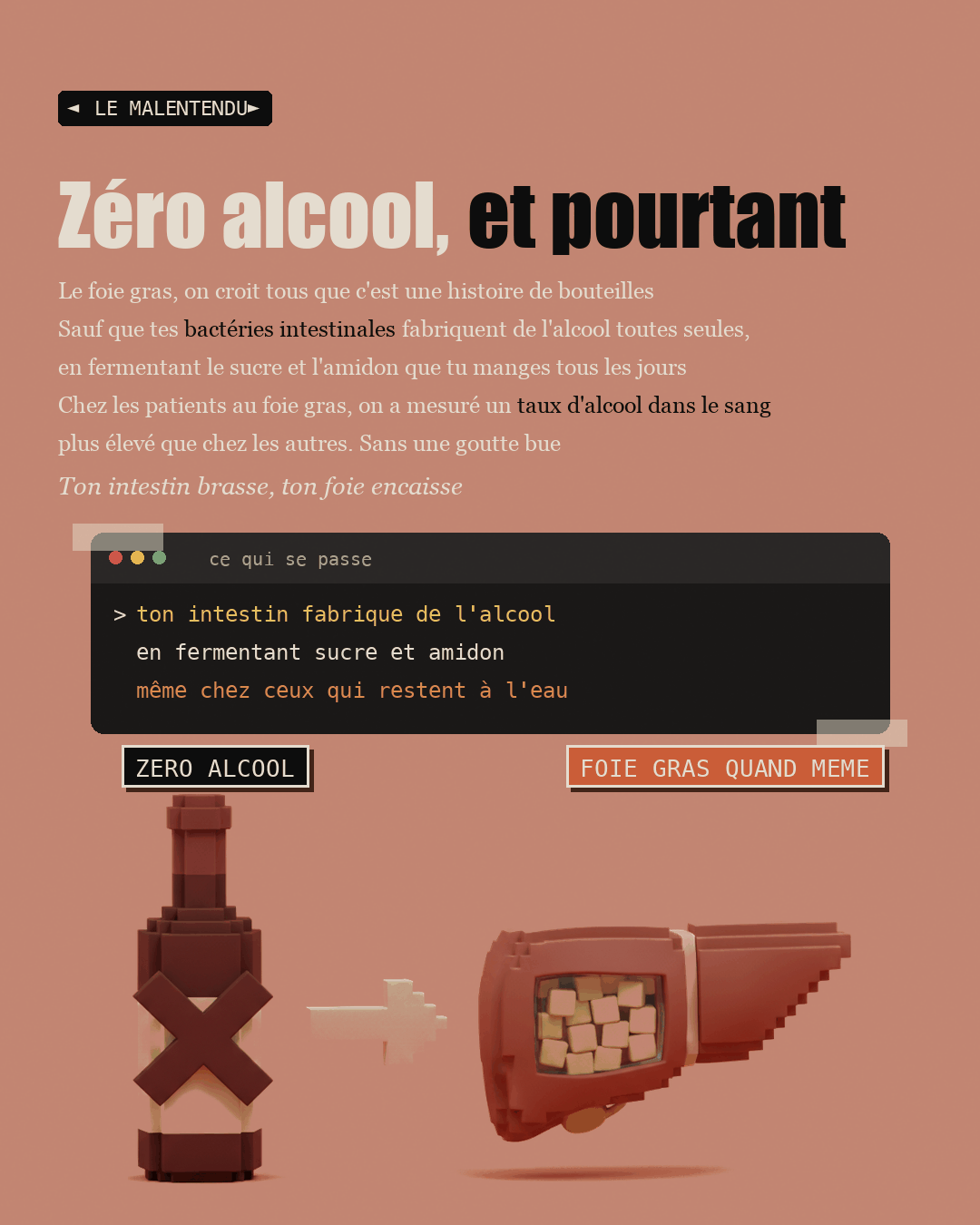 Anti-foie gras : la choline que personne ne dose : Slide 2