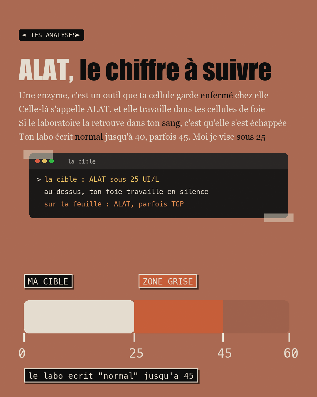 Anti-foie gras : la choline que personne ne dose : Slide 3
