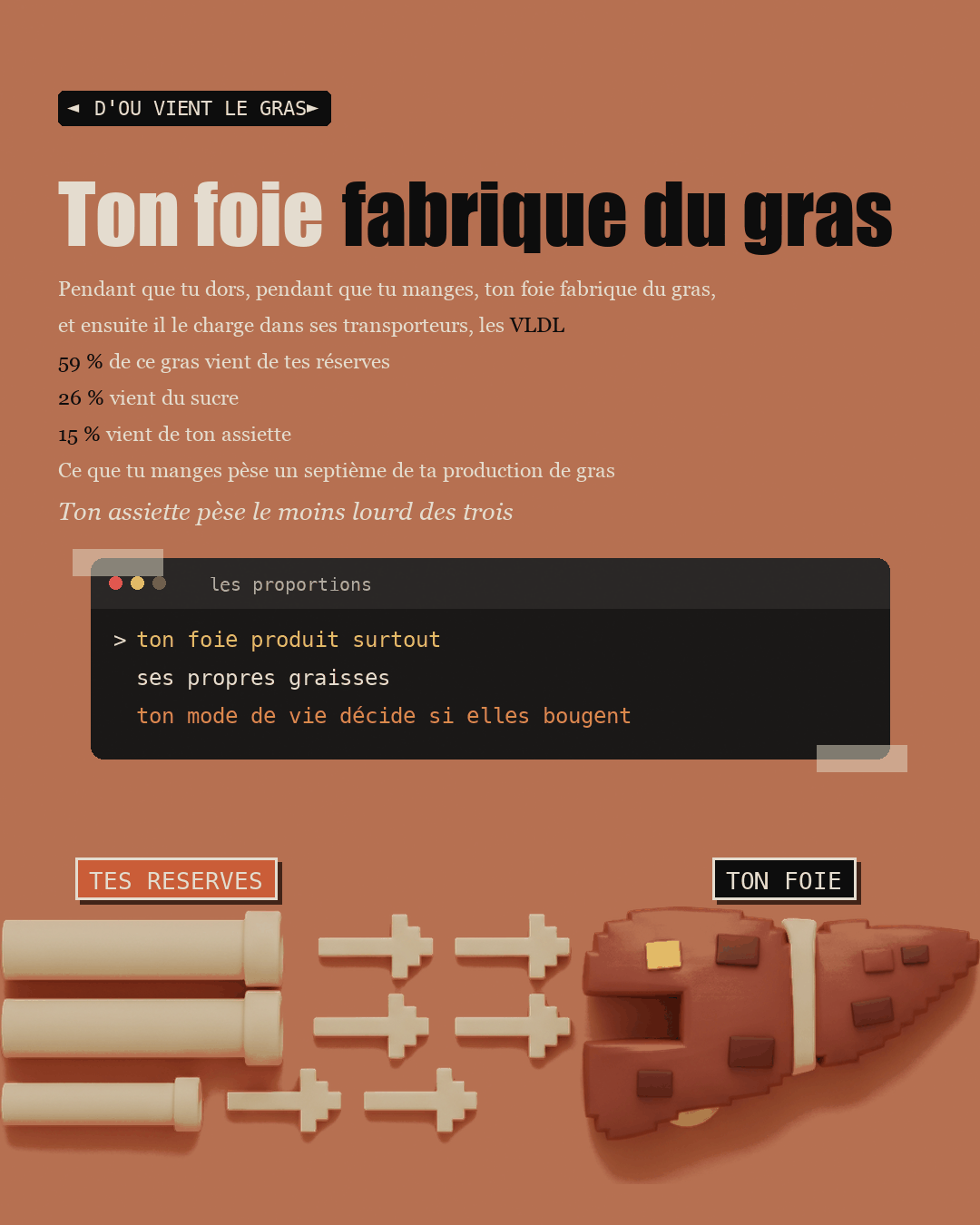 Anti-foie gras : la choline que personne ne dose : Slide 4