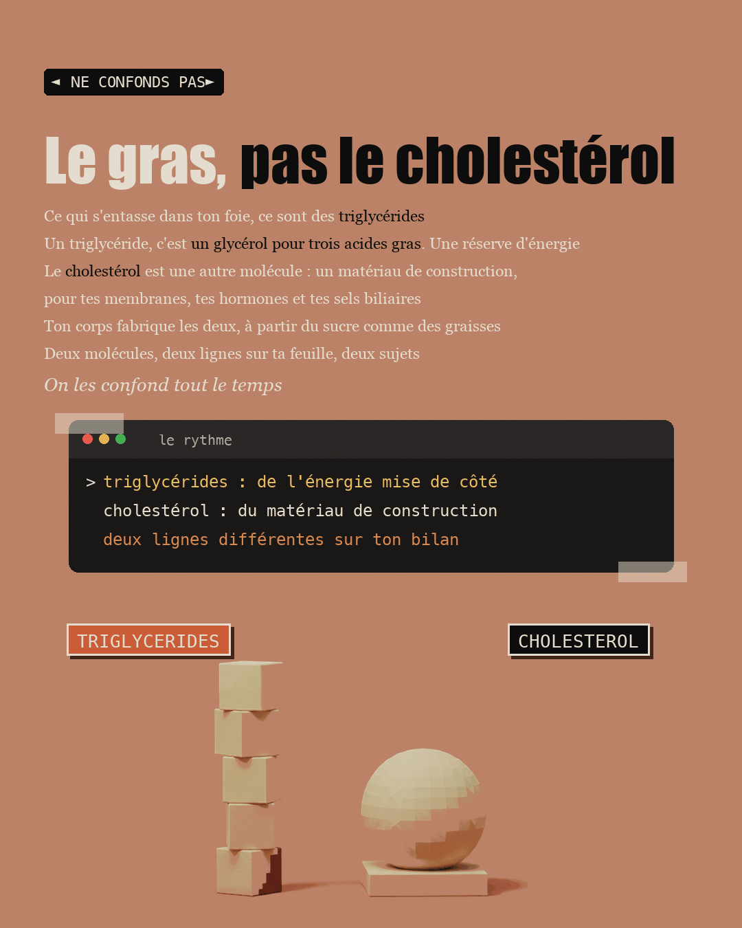 Anti-foie gras : la choline que personne ne dose : Slide 6
