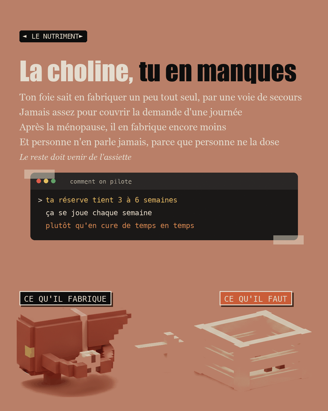 Anti-foie gras : la choline que personne ne dose : Slide 7