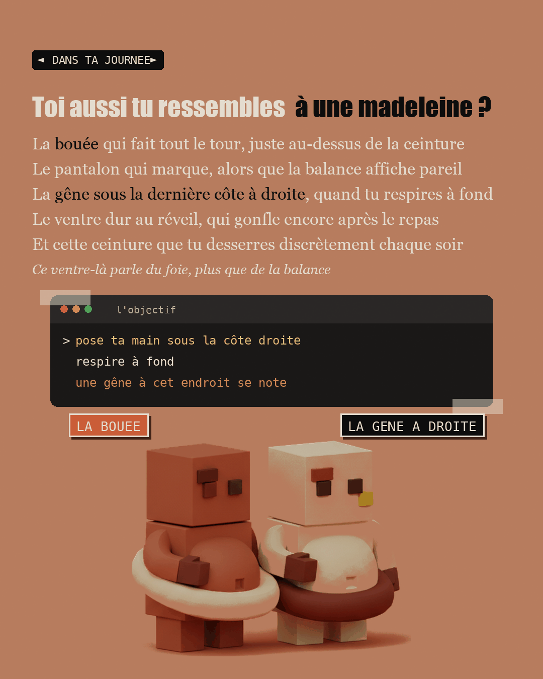 Anti-foie gras : la choline que personne ne dose : Slide 11