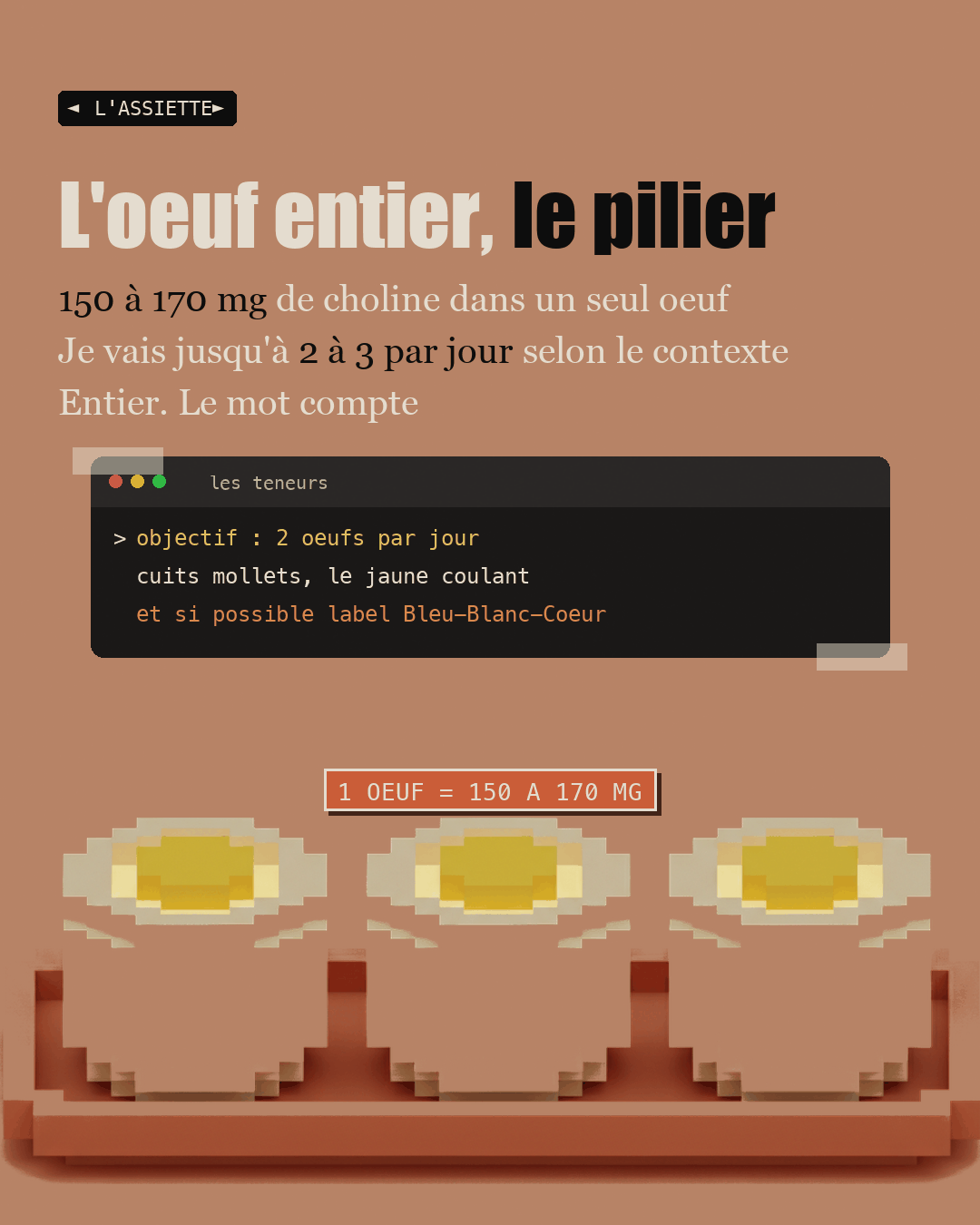 Anti-foie gras : la choline que personne ne dose : Slide 14