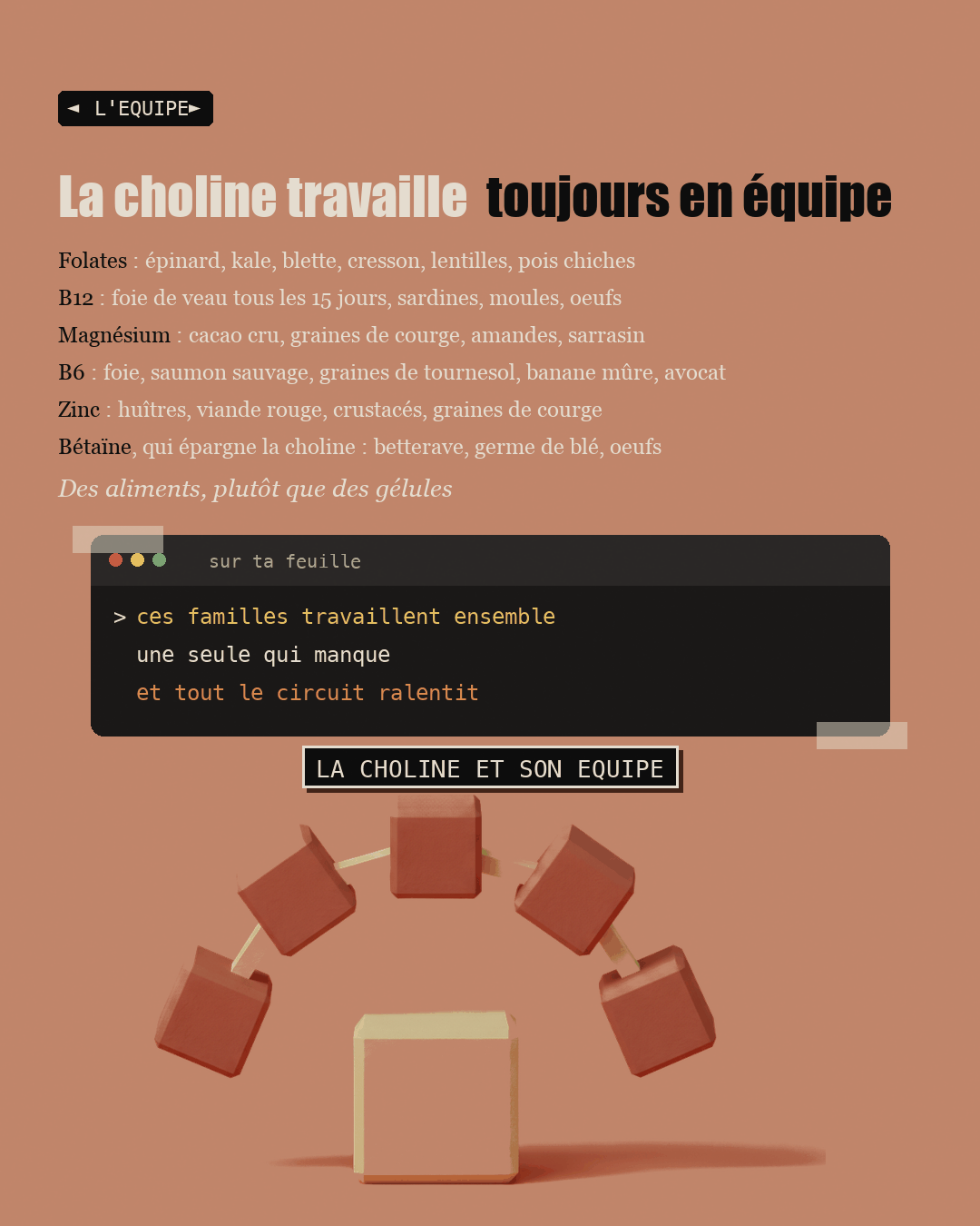 Anti-foie gras : la choline que personne ne dose : Slide 16