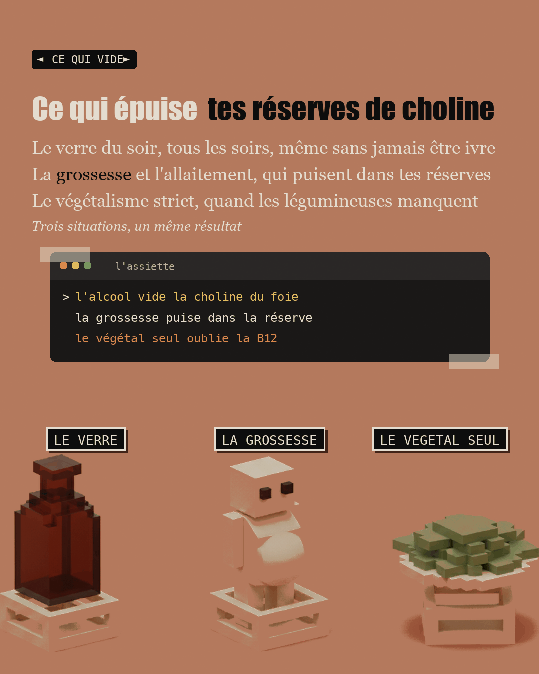 Anti-foie gras : la choline que personne ne dose : Slide 17