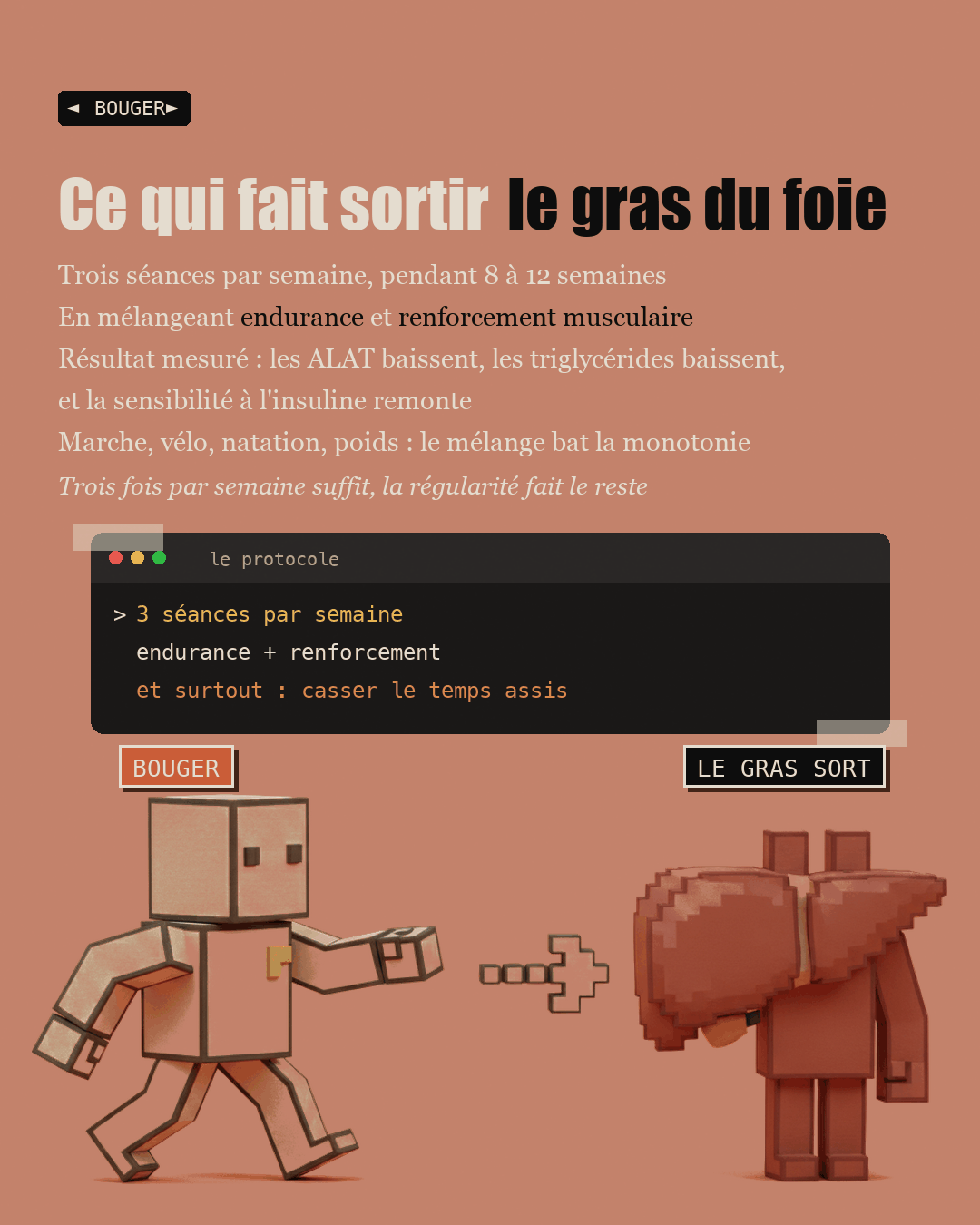 Anti-foie gras : la choline que personne ne dose : Slide 18