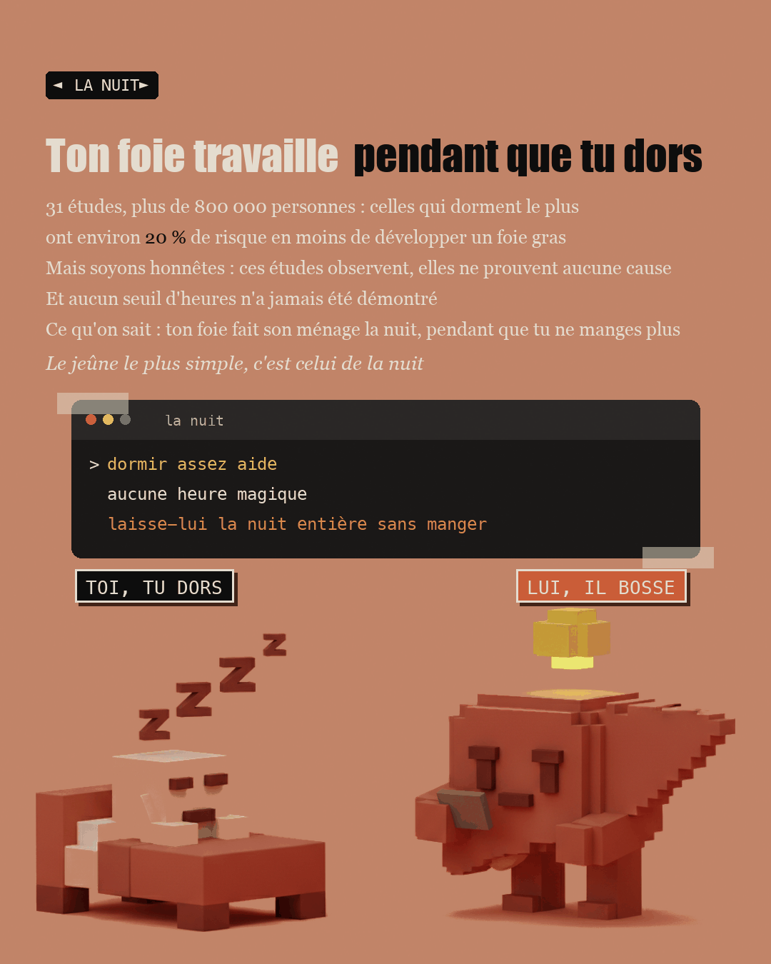 Anti-foie gras : la choline que personne ne dose : Slide 19