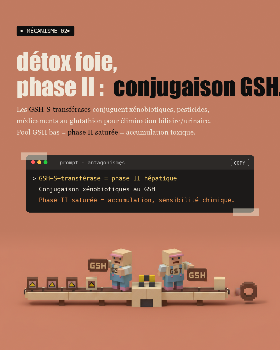 NAC : le précurseur du glutathion maître : Slide 4