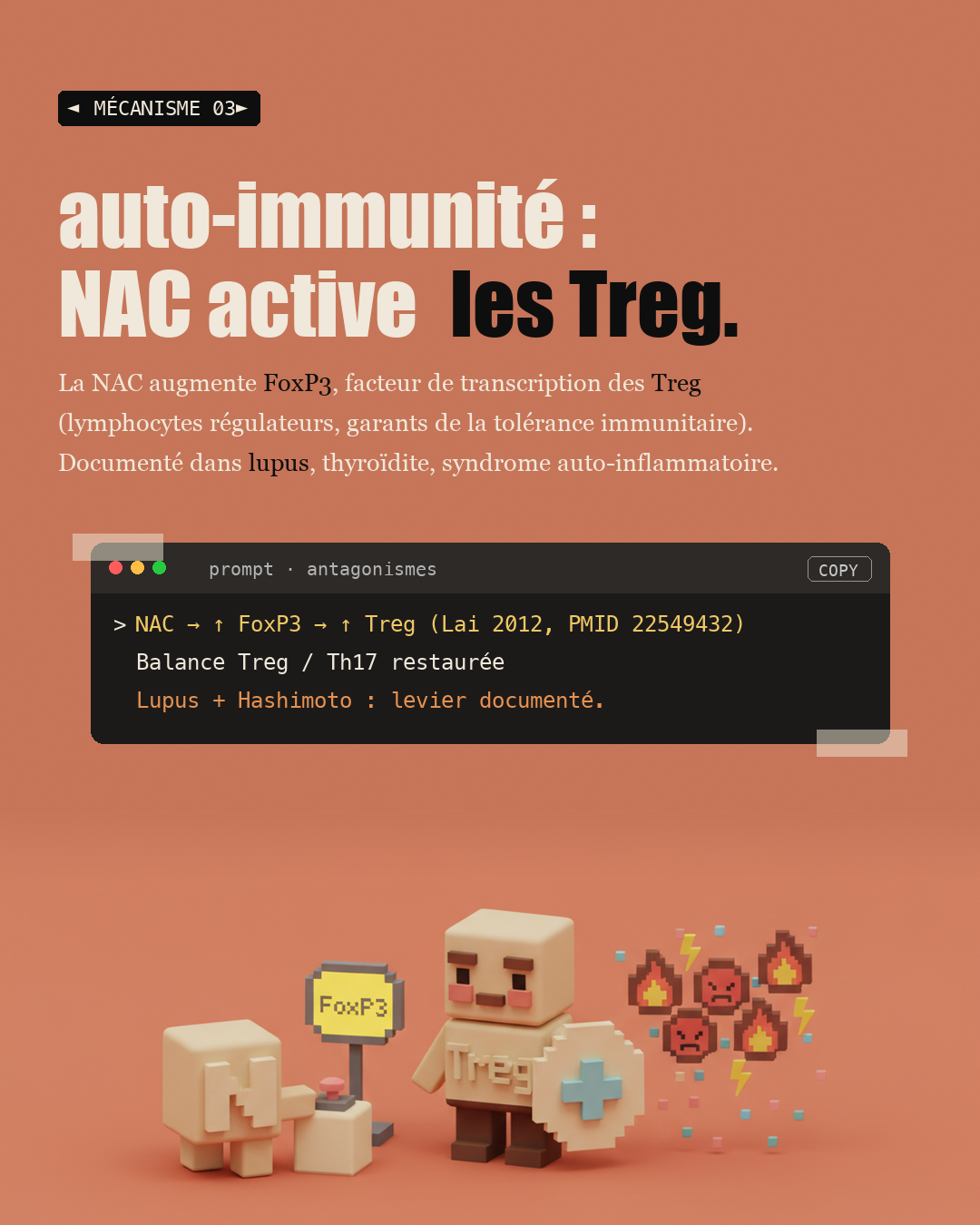NAC : le précurseur du glutathion maître : Slide 5