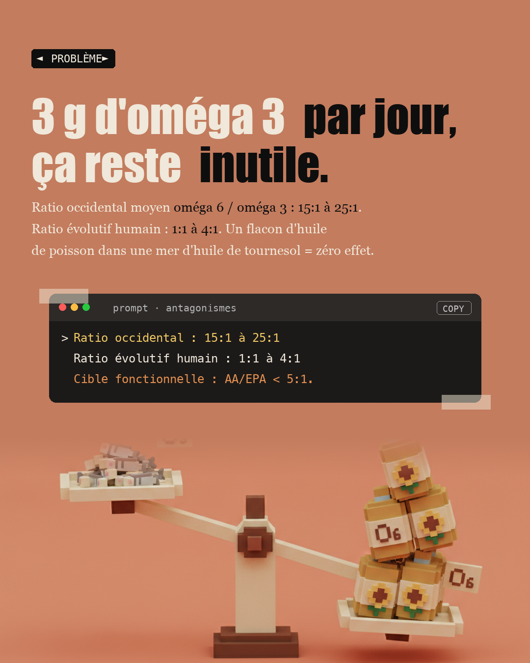 Oméga 3 : le ratio 6/3 qui inflamme tout : Slide 2