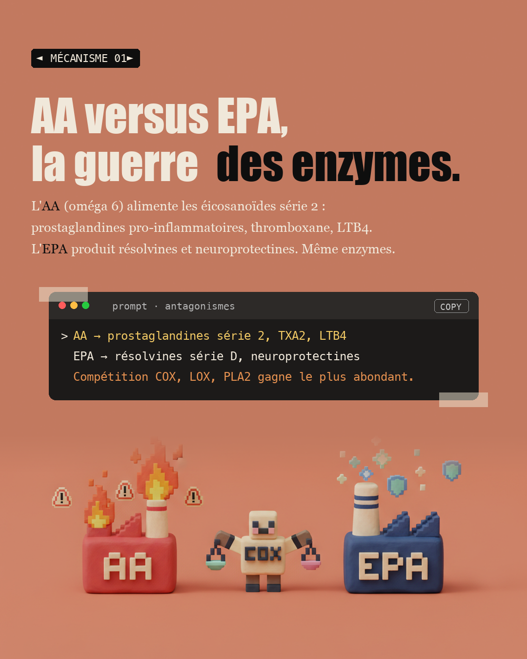 Oméga 3 : le ratio 6/3 qui inflamme tout : Slide 3