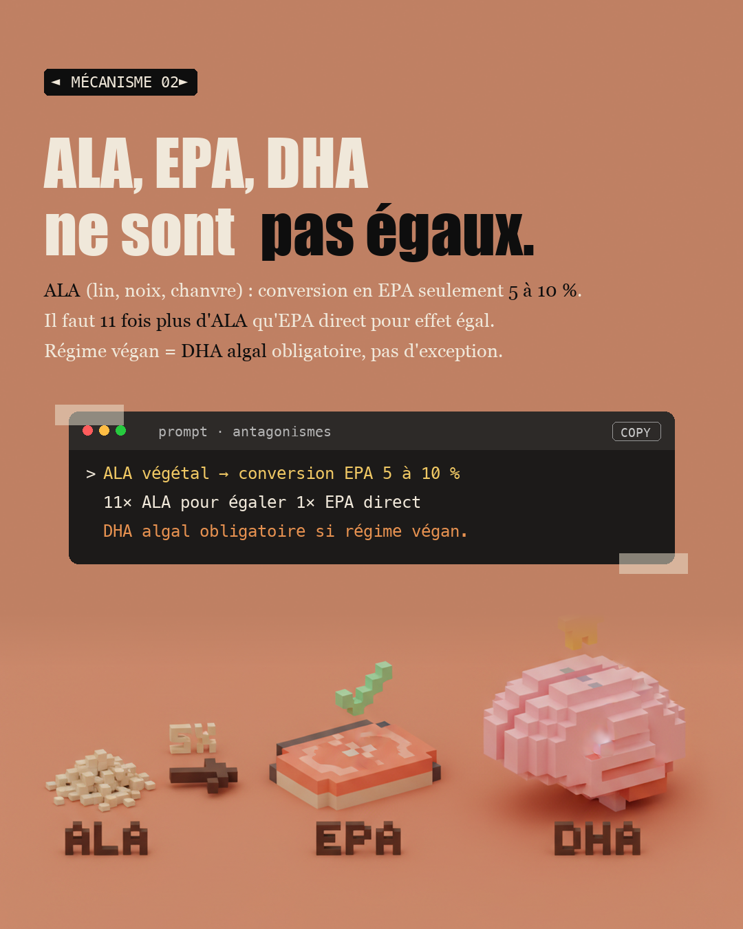 Oméga 3 : le ratio 6/3 qui inflamme tout : Slide 4