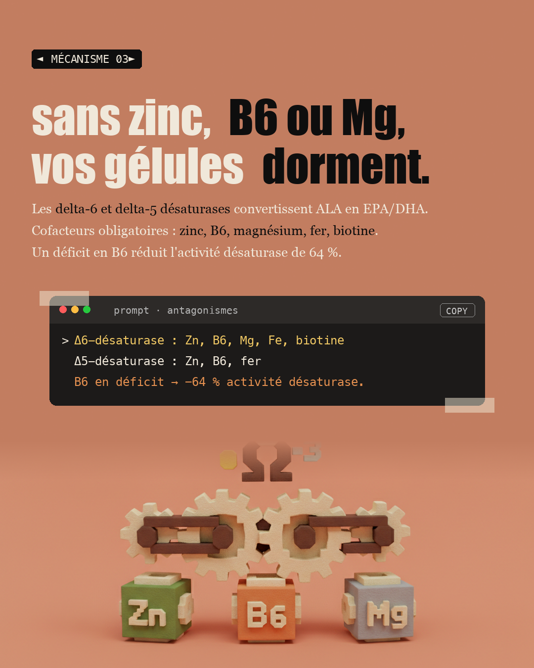 Oméga 3 : le ratio 6/3 qui inflamme tout : Slide 5