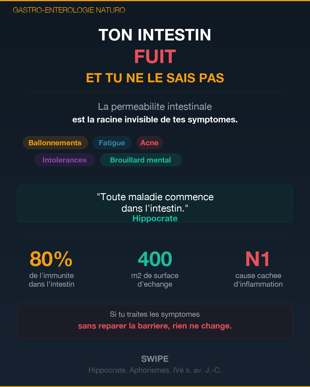 Perméabilité intestinale : l'intestin qui fuit