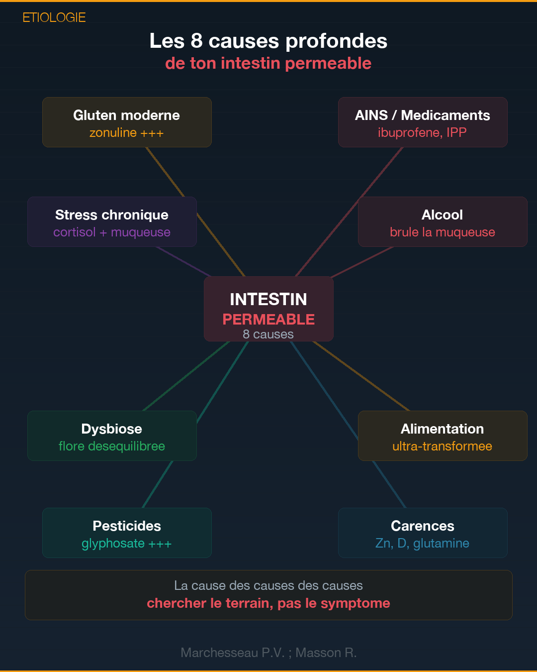 Perméabilité intestinale : l'intestin qui fuit : Slide 5