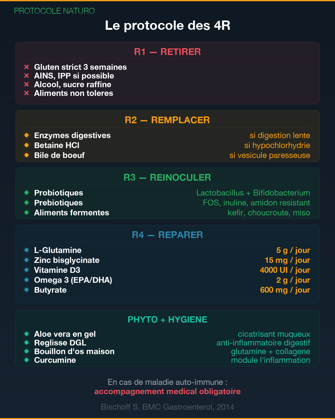 Perméabilité intestinale : l'intestin qui fuit : Slide 9
