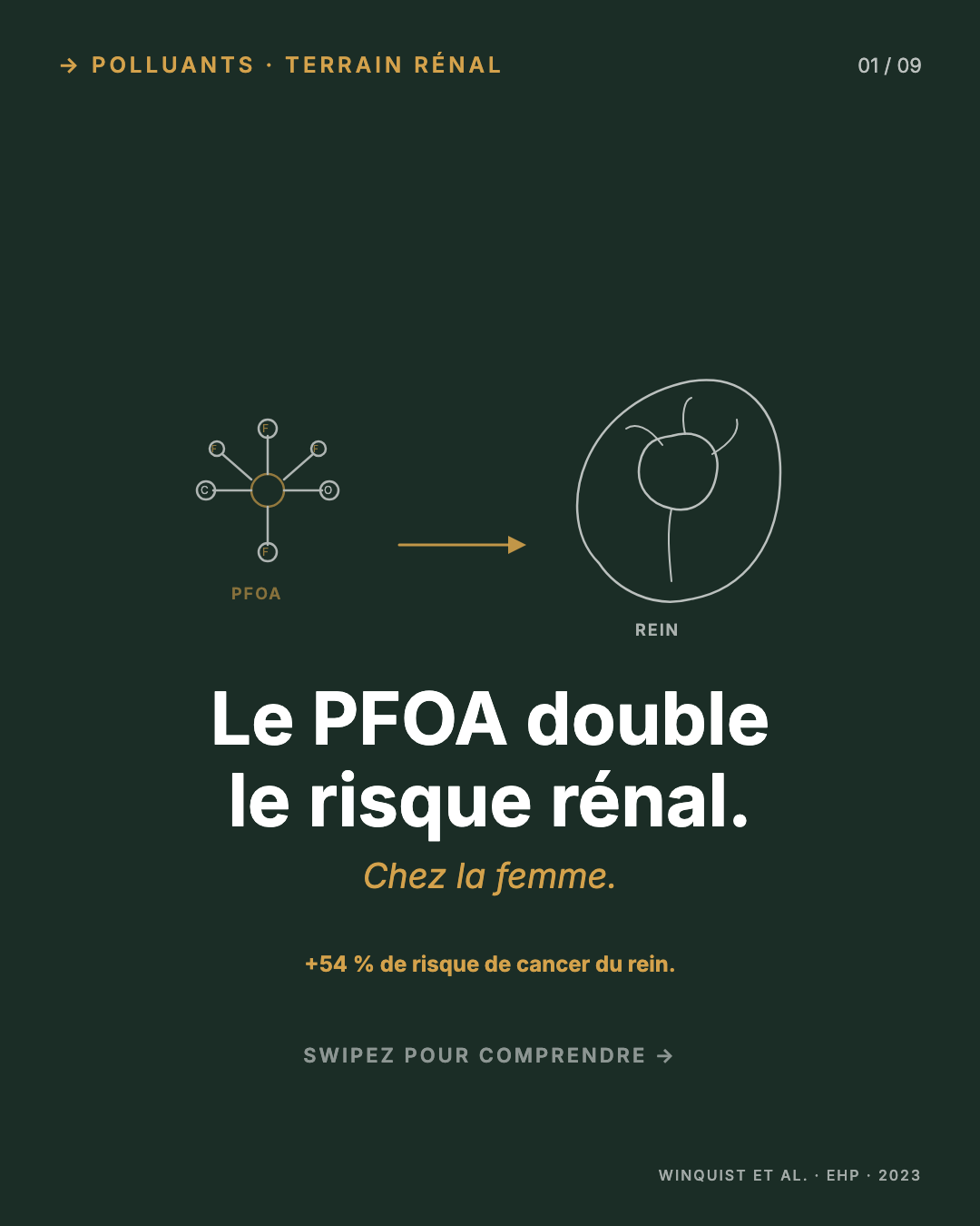 PFOA : le poêle qui contamine ton foie