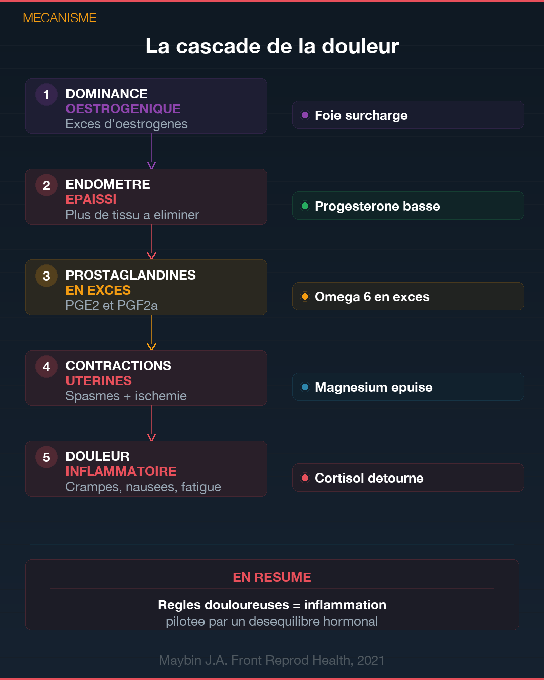 Règles douloureuses : causes et solutions naturelles : Slide 3