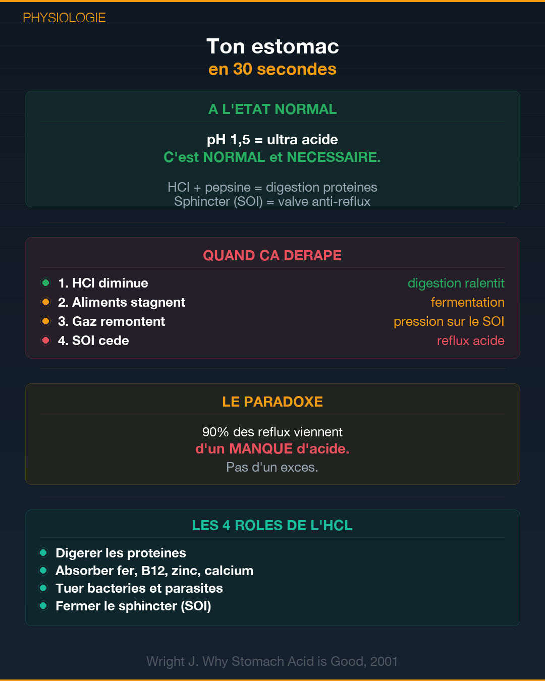 RGO : le paradoxe du reflux gastrique : Slide 2