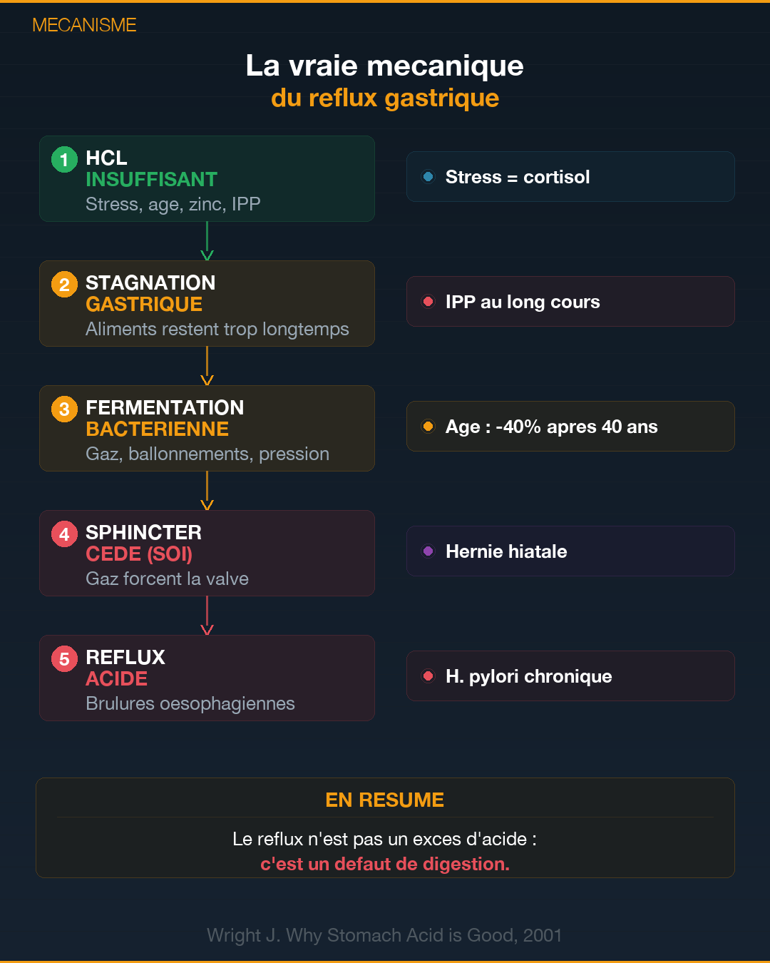 RGO : le paradoxe du reflux gastrique : Slide 3